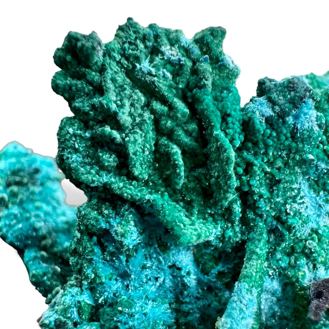 Native Copper With Atacamite & Ktenasite