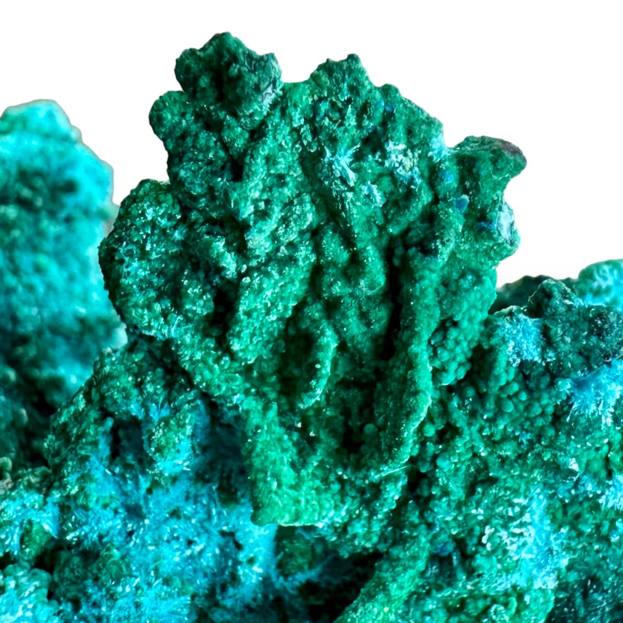 Native Copper With Atacamite & Ktenasite