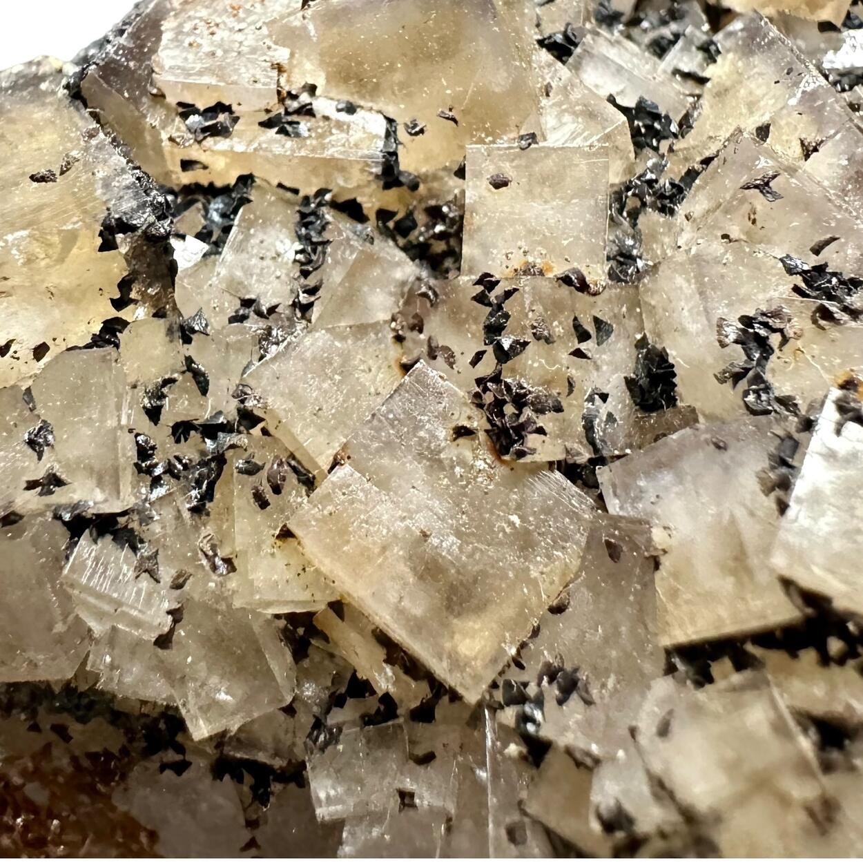 Fluorite & Siderite