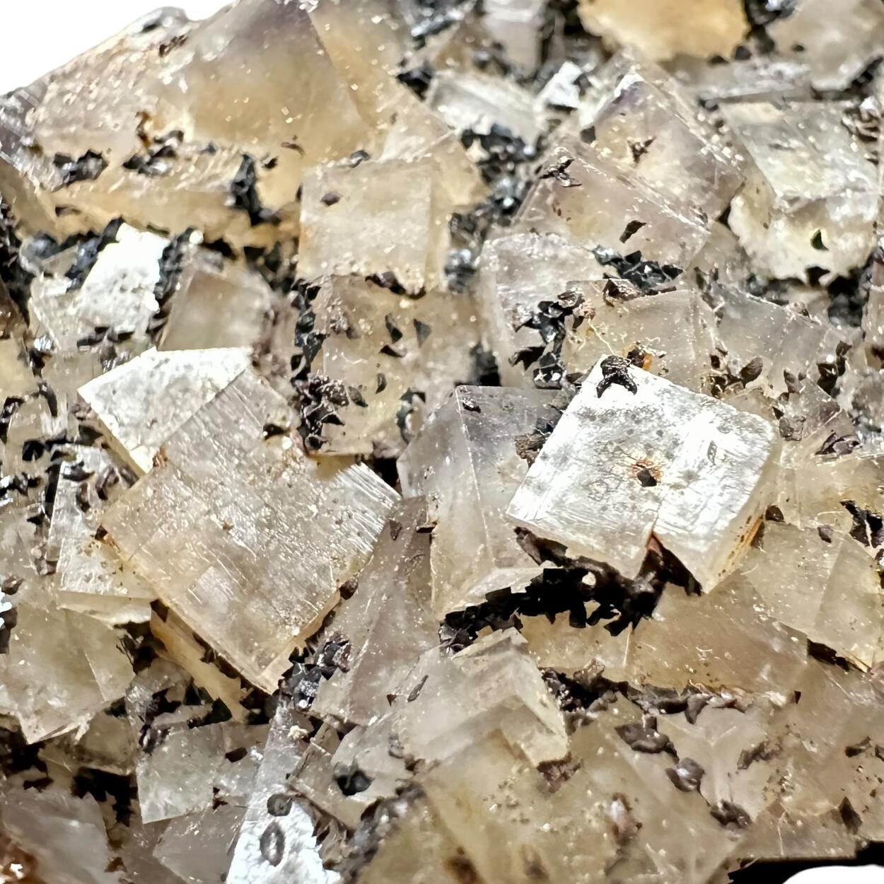 Fluorite & Siderite