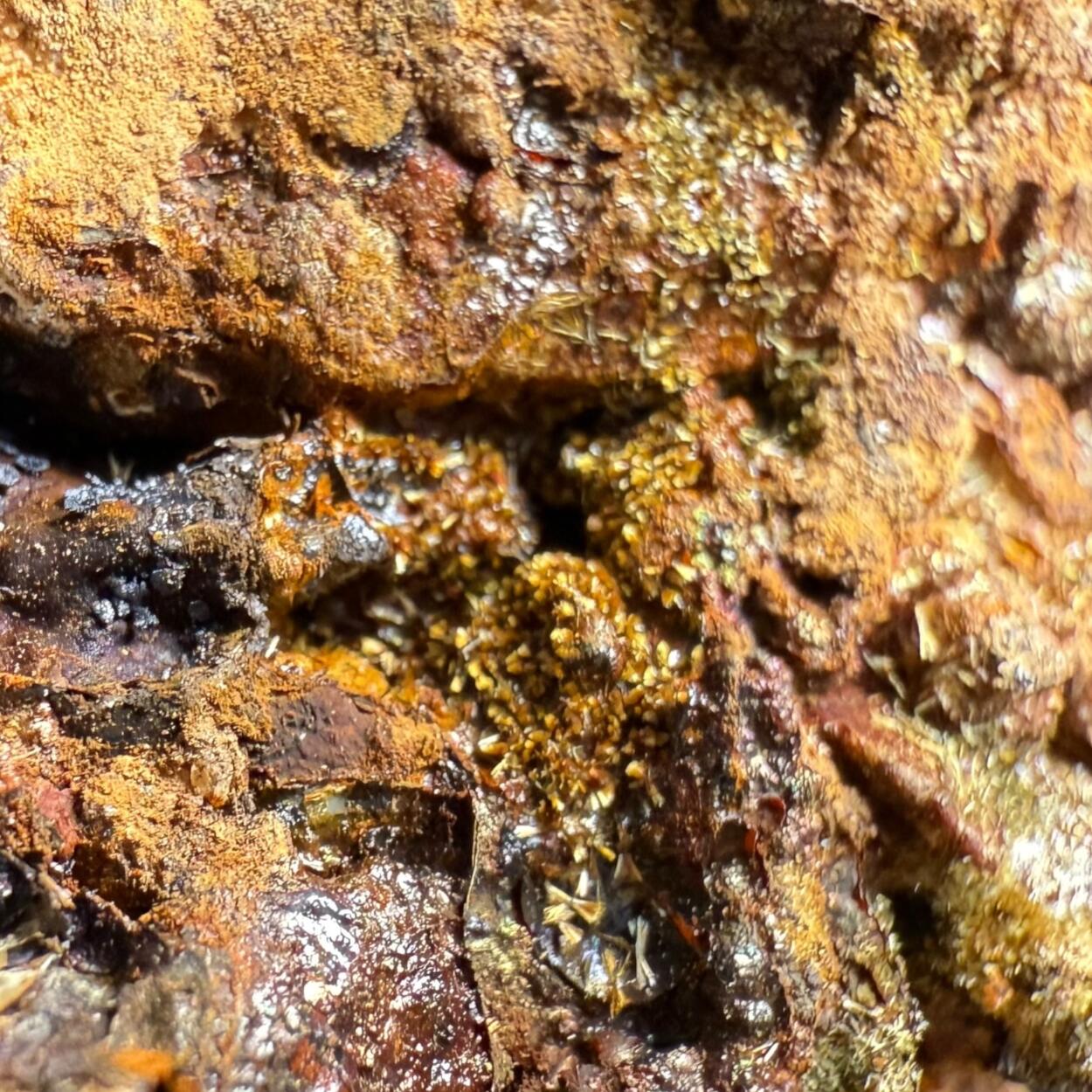 Beraunite & Strunzite