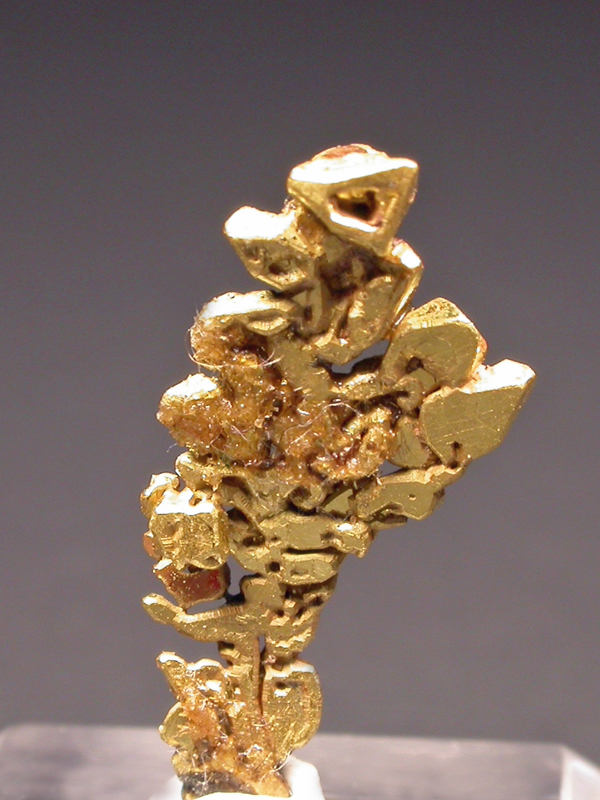 Gold