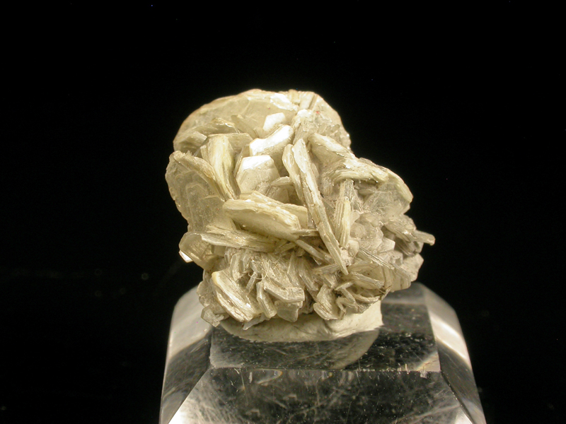 Tainiolite