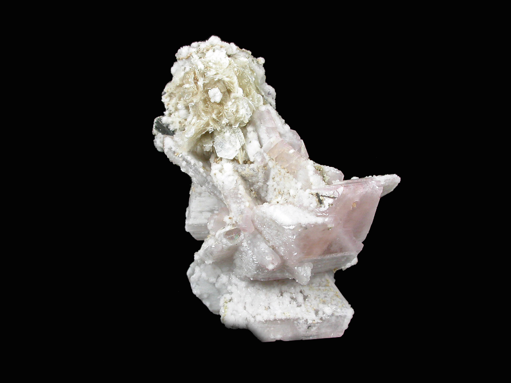 Epididymite