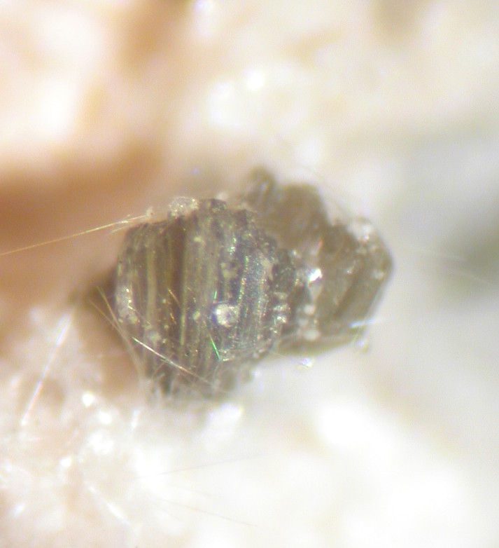 Clinoptilolite-Na & Mordenite