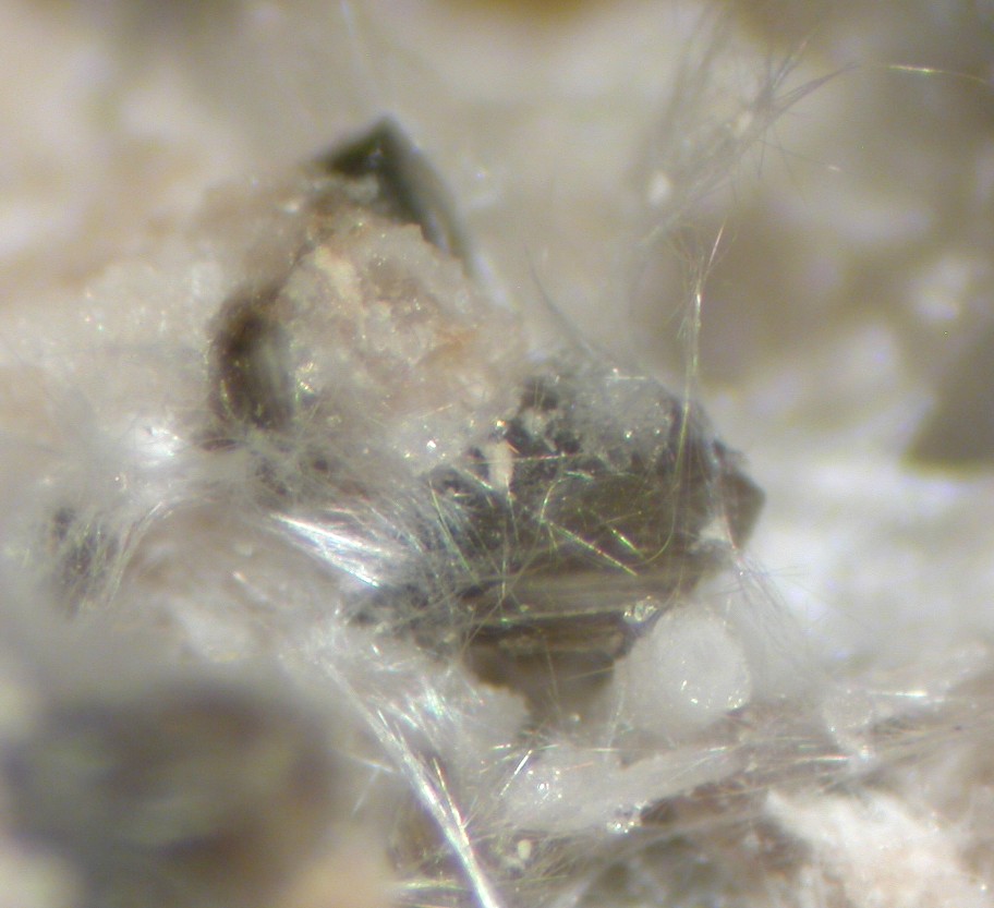 Clinoptilolite-Na & Mordenite