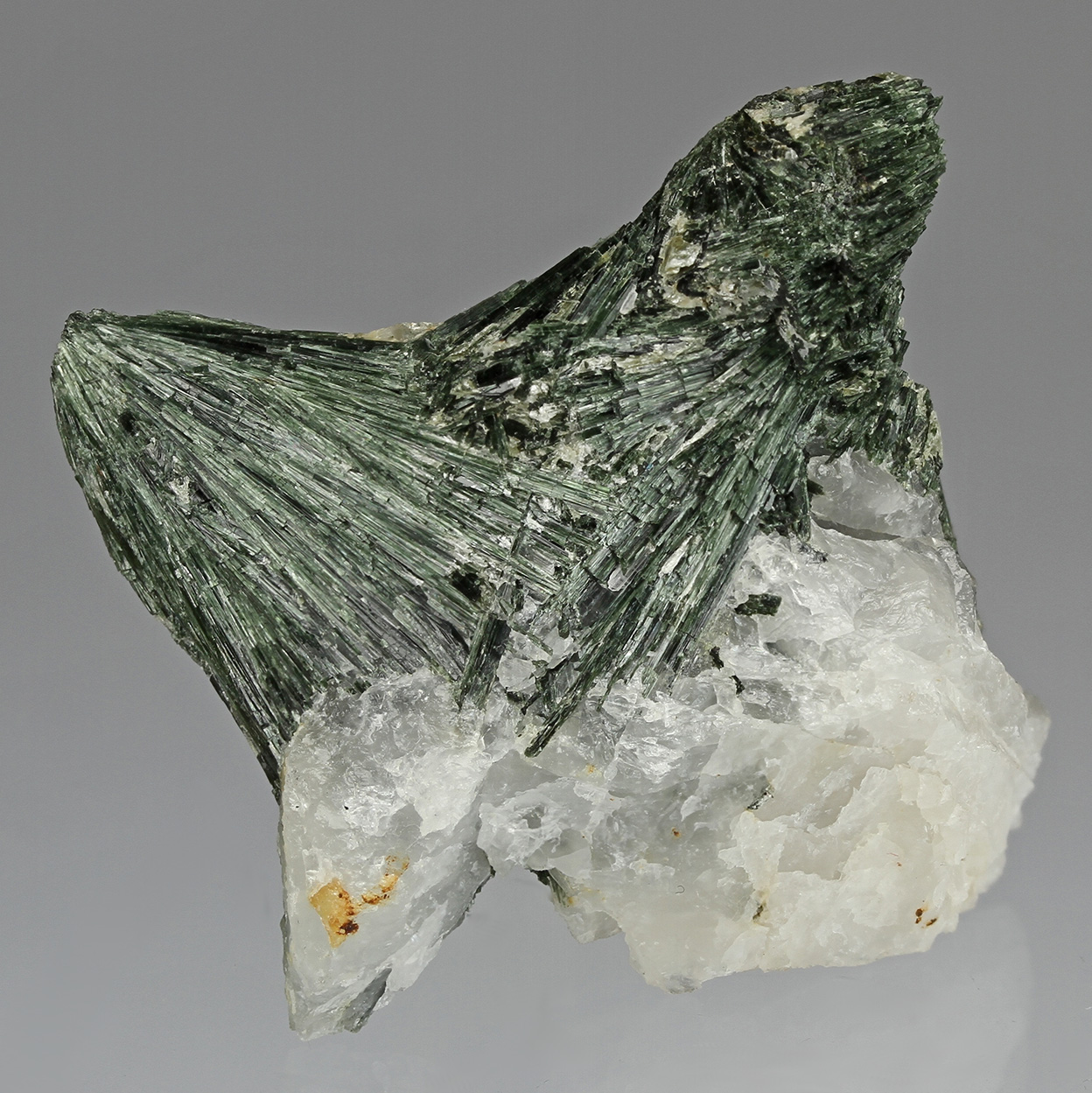 Actinolite