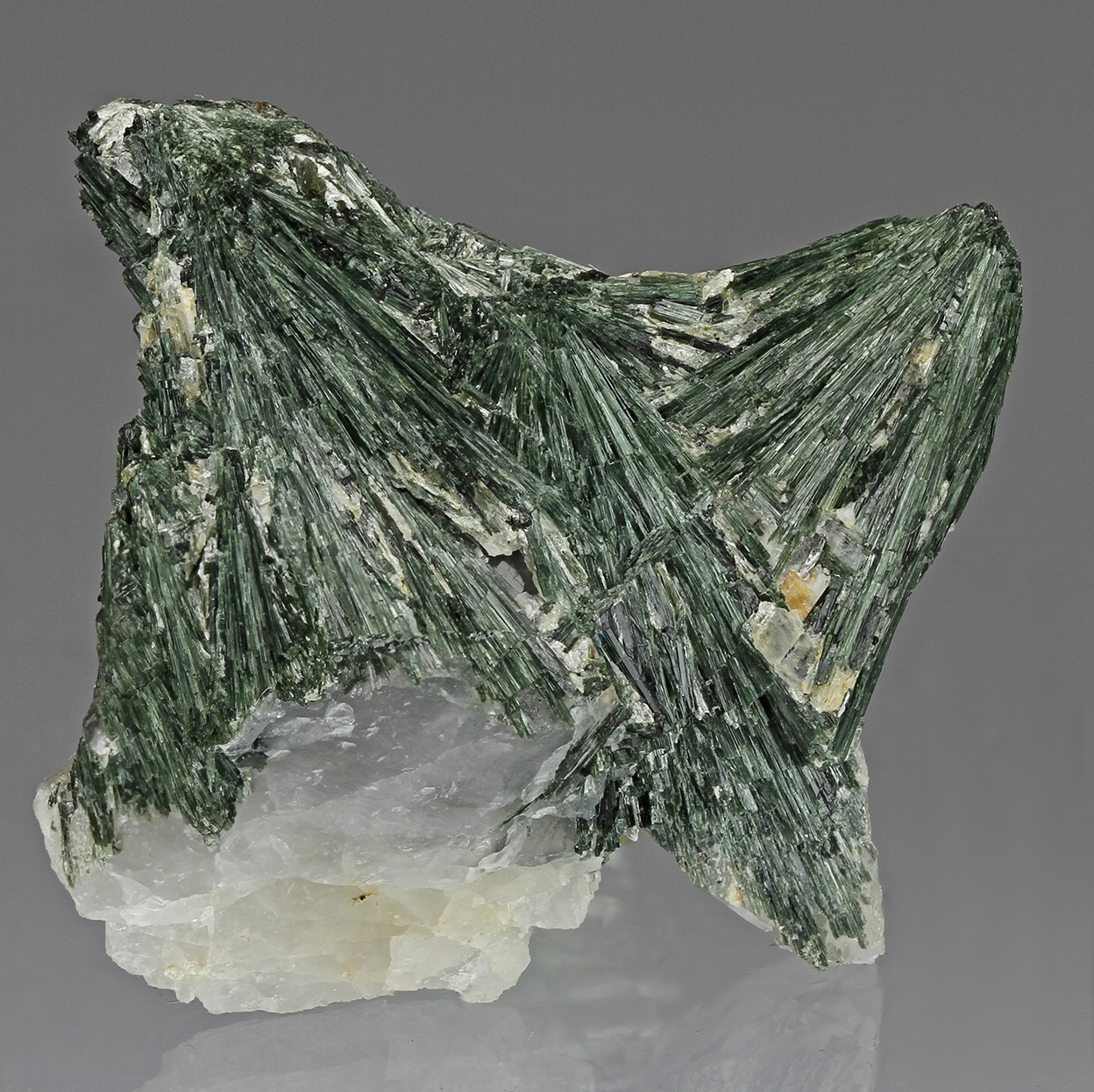 Actinolite
