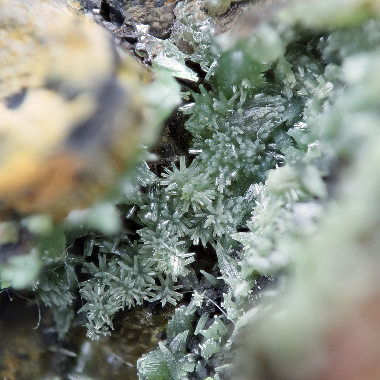 Pyromorphite