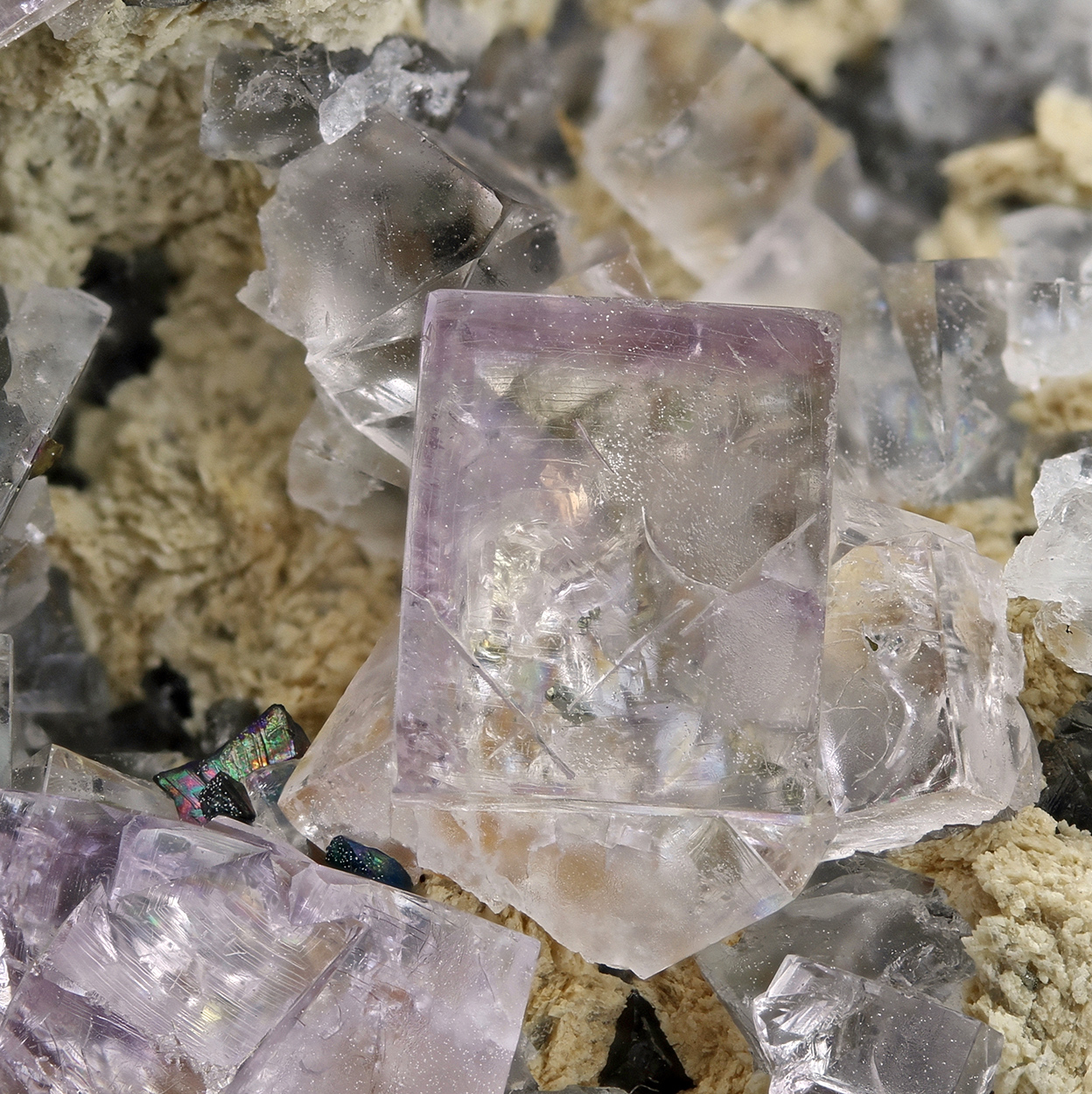 Fluorite & Chalcopyrite