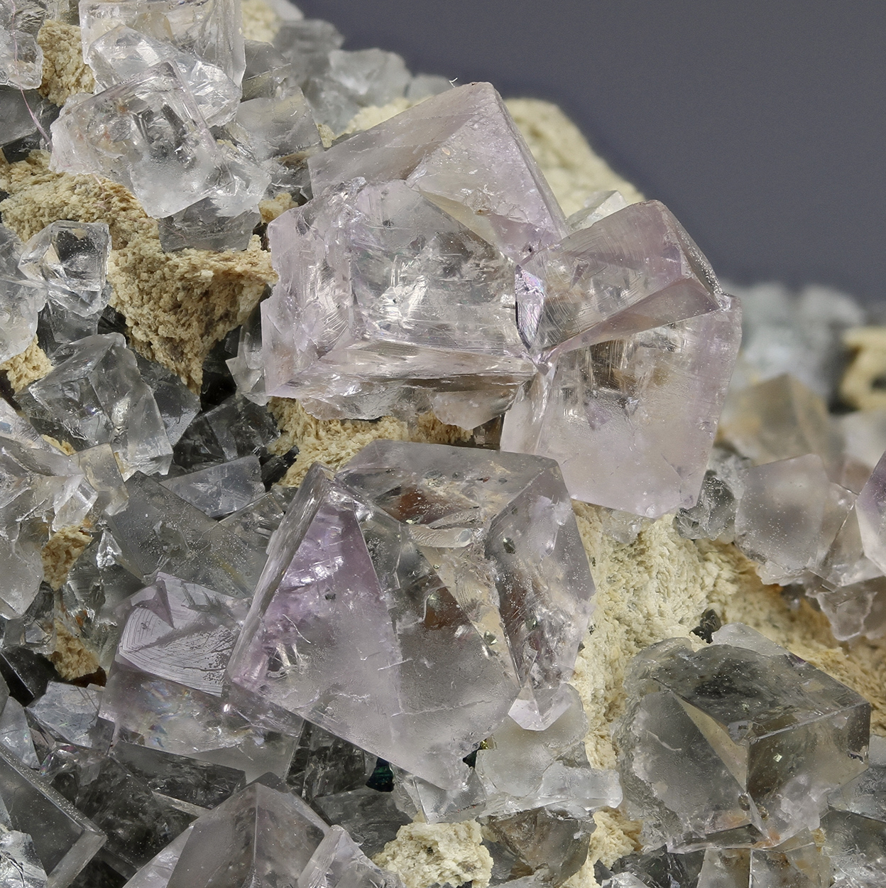 Fluorite & Chalcopyrite