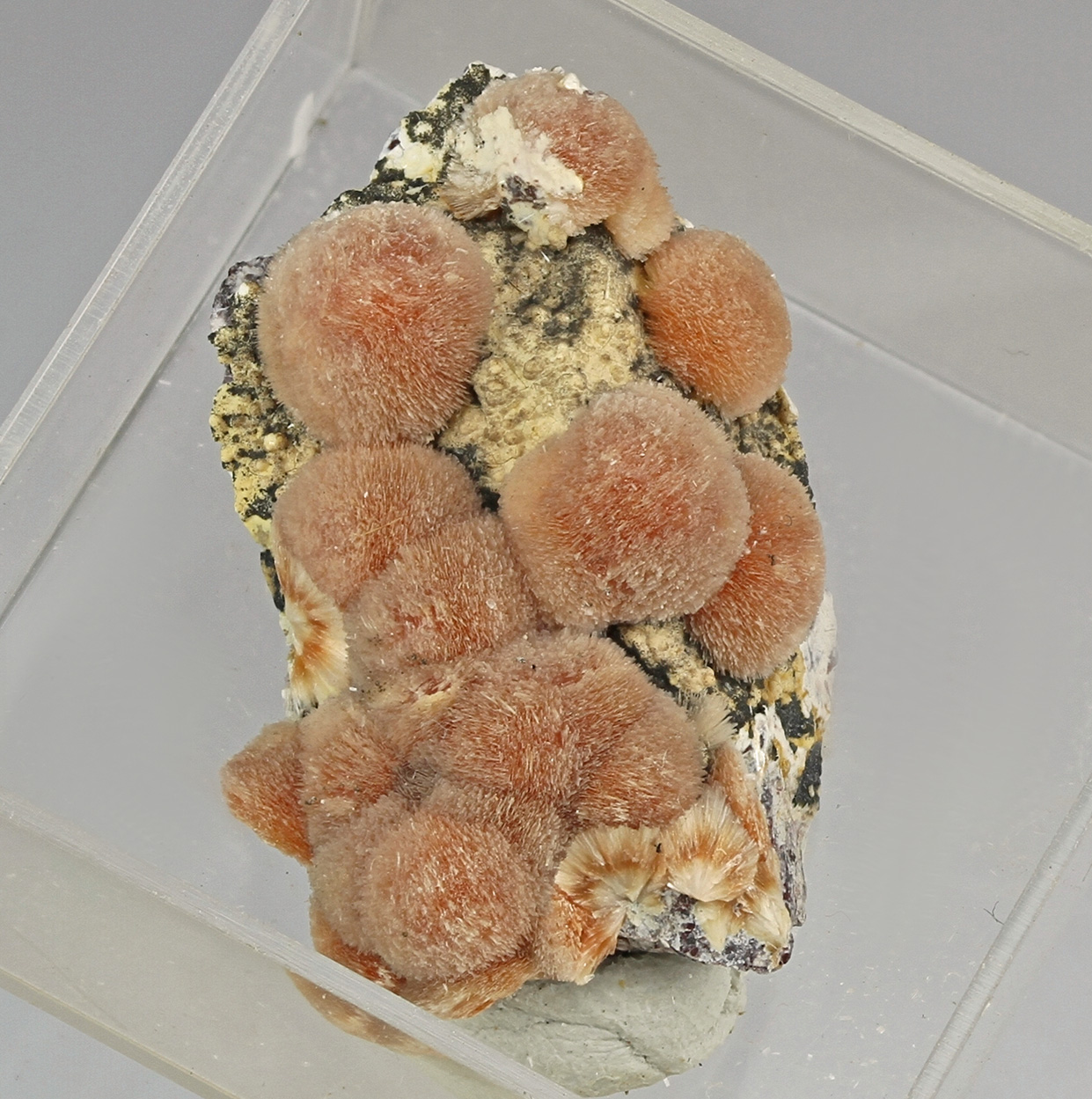 Ferrierite
