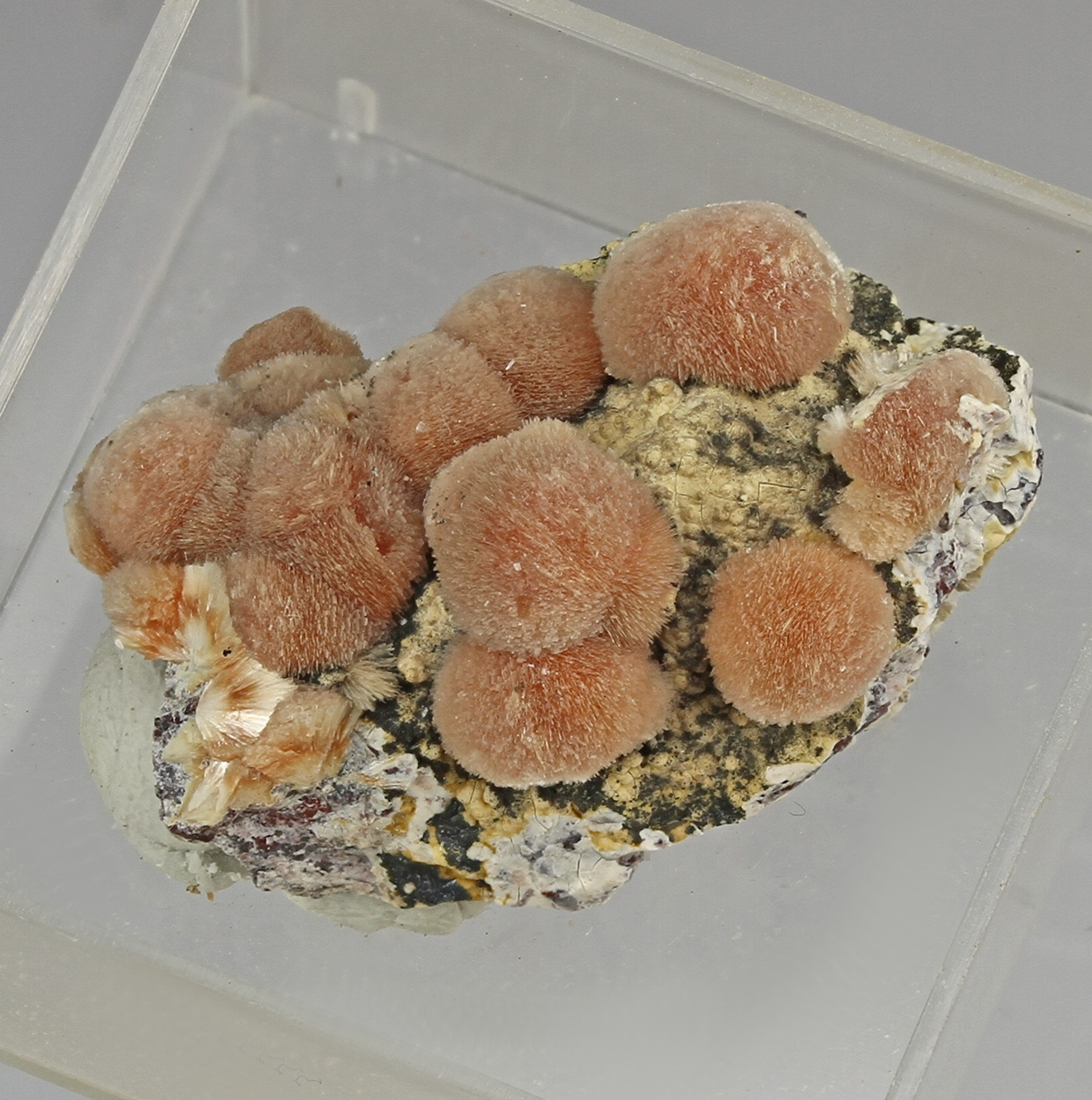 Ferrierite