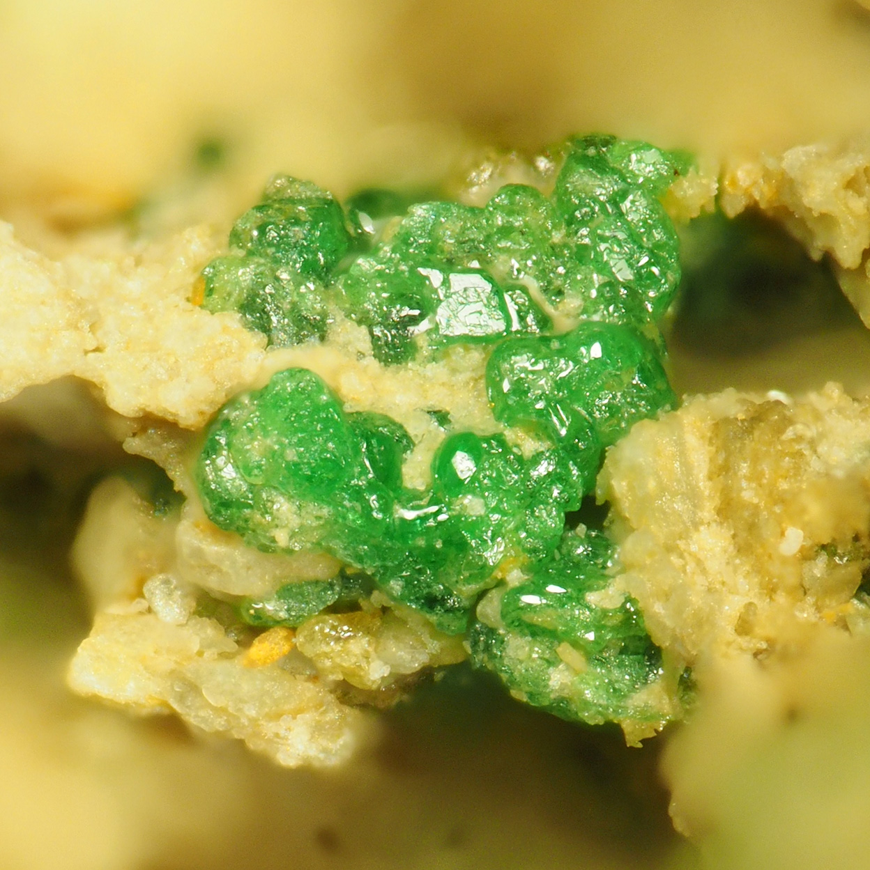 Uvarovite