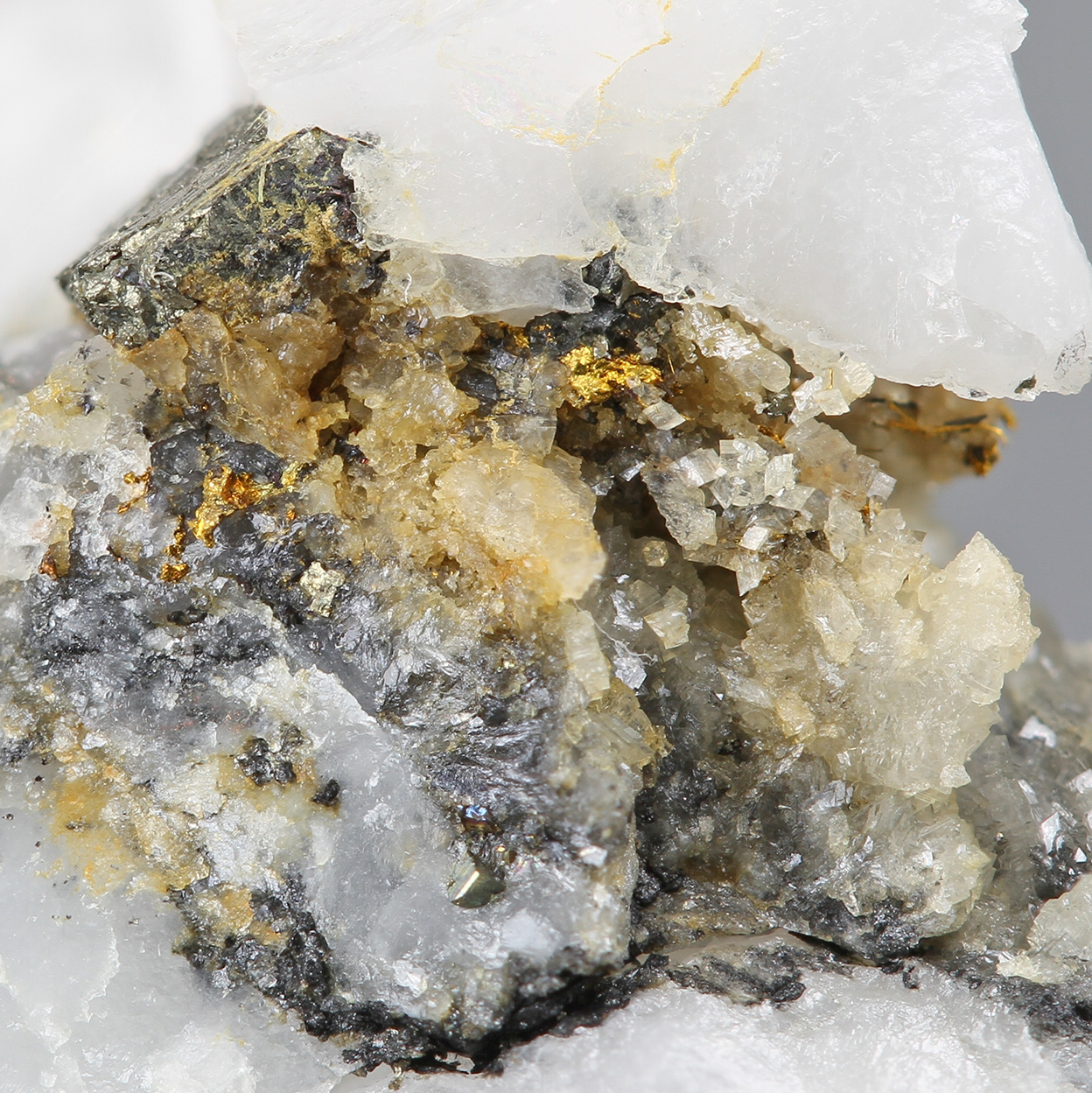 Gold & Pyrite