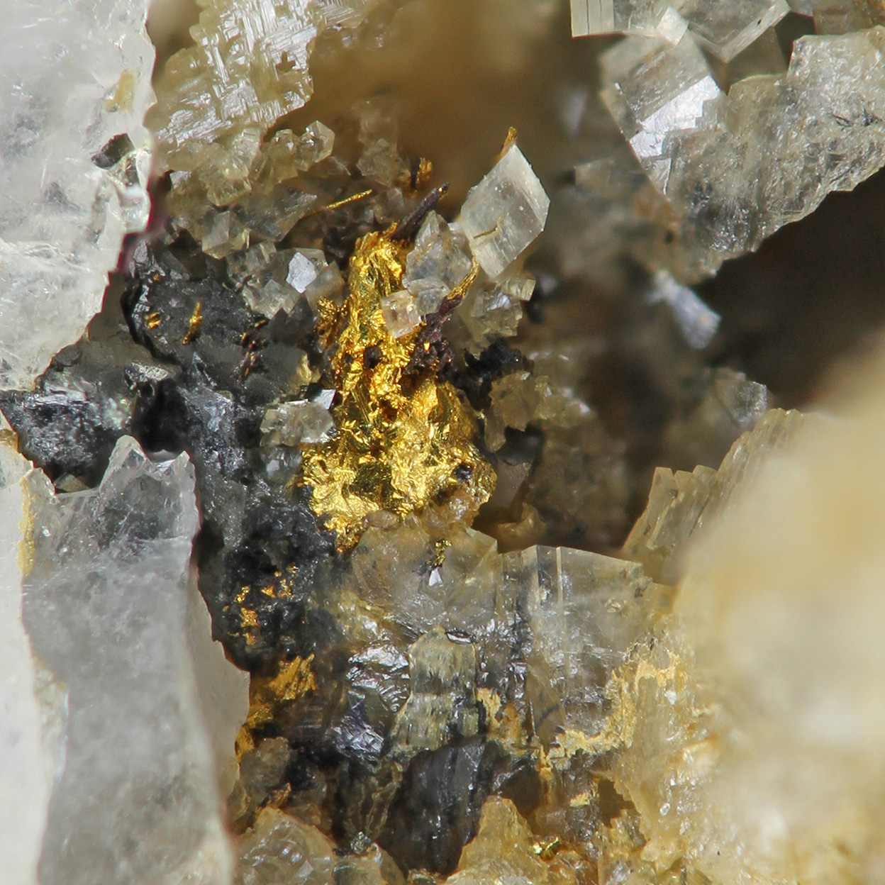 Gold & Pyrite