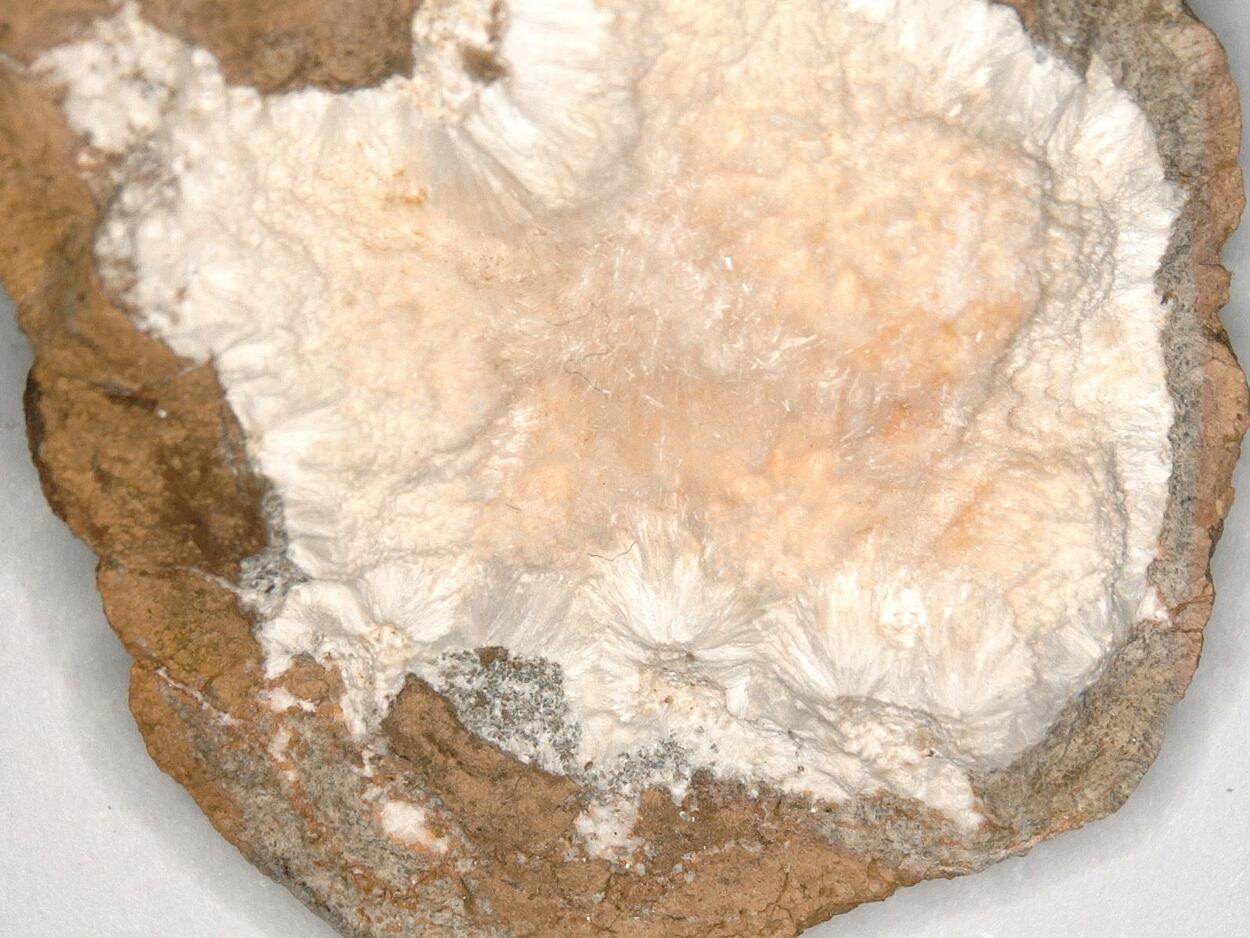 Mordenite