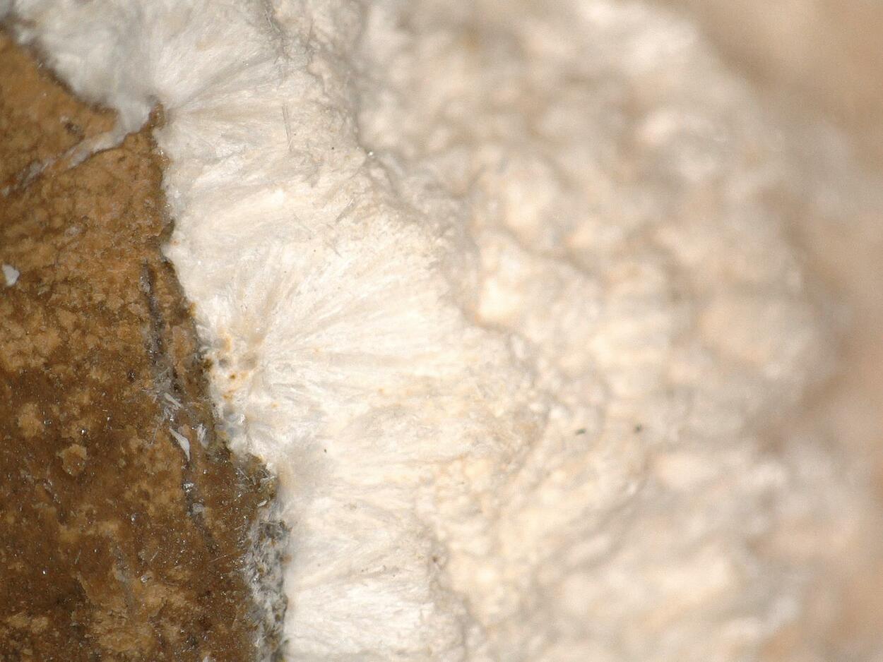 Mordenite