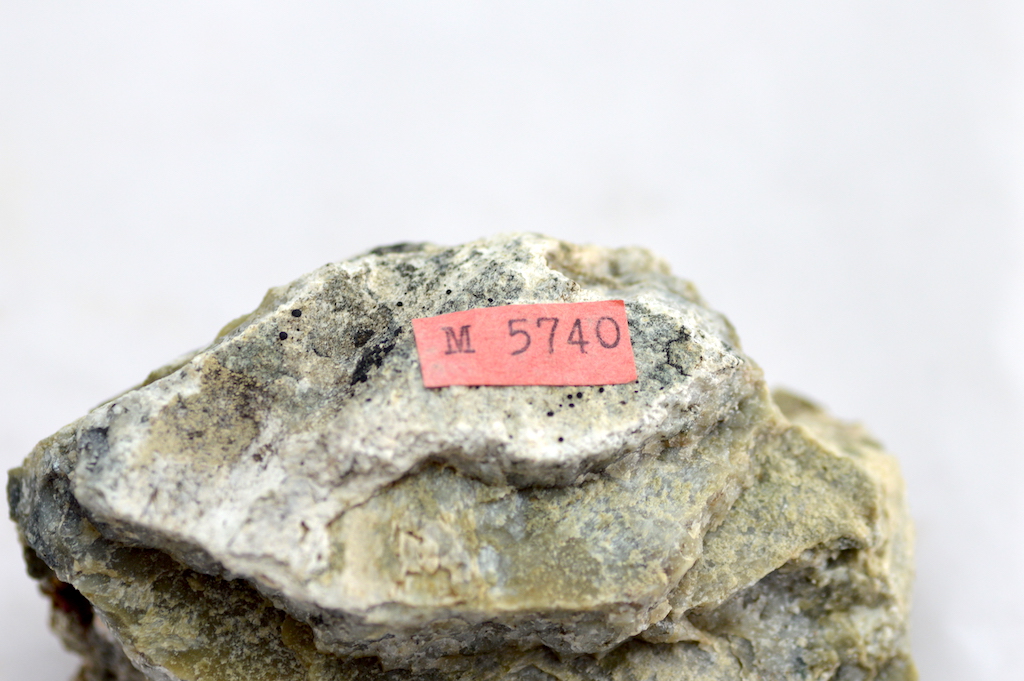 Scapolite