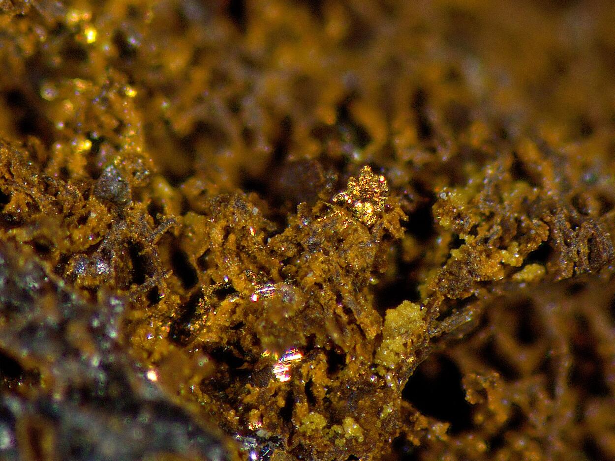 Native Gold