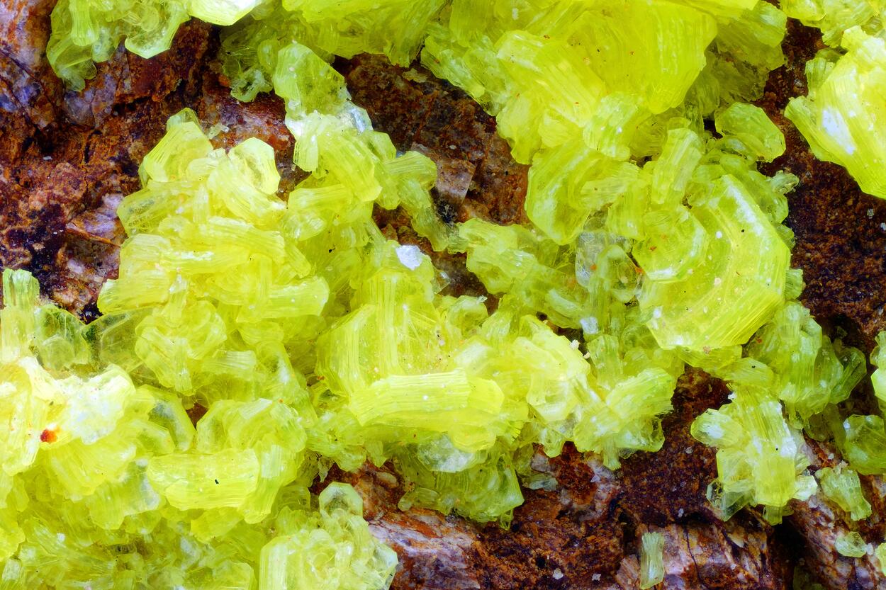 Autunite