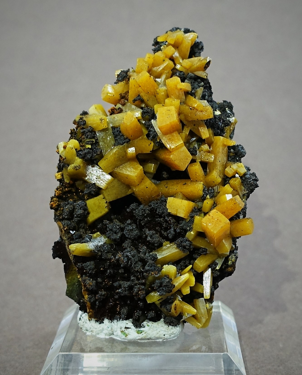 Wulfenite