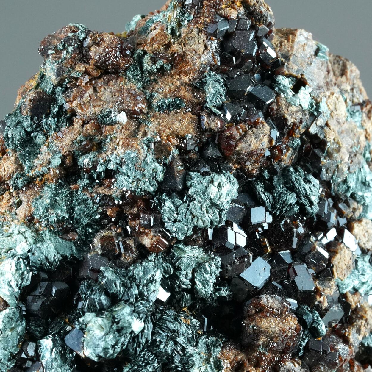 Hessonite & Clinochlore