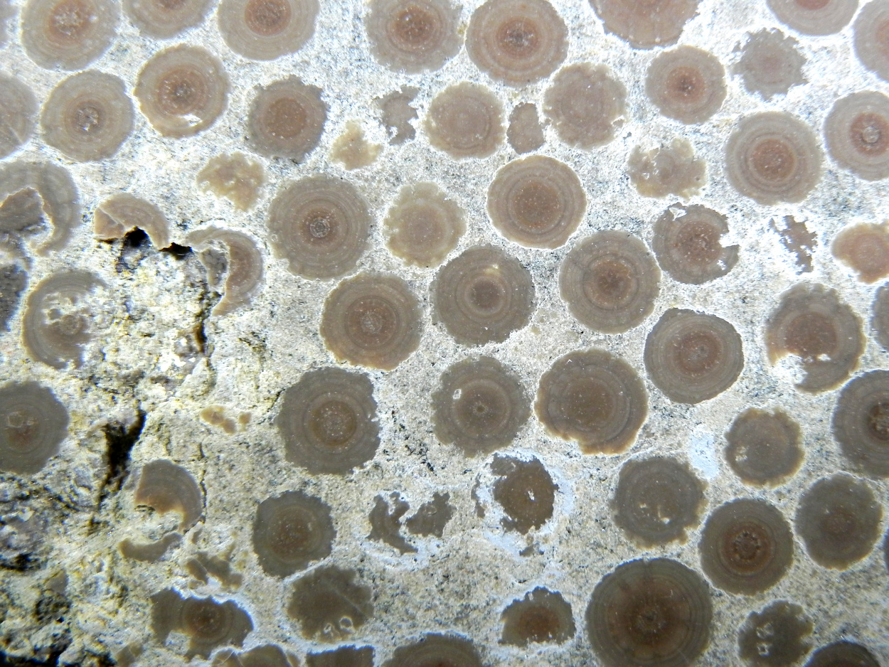 Aragonite