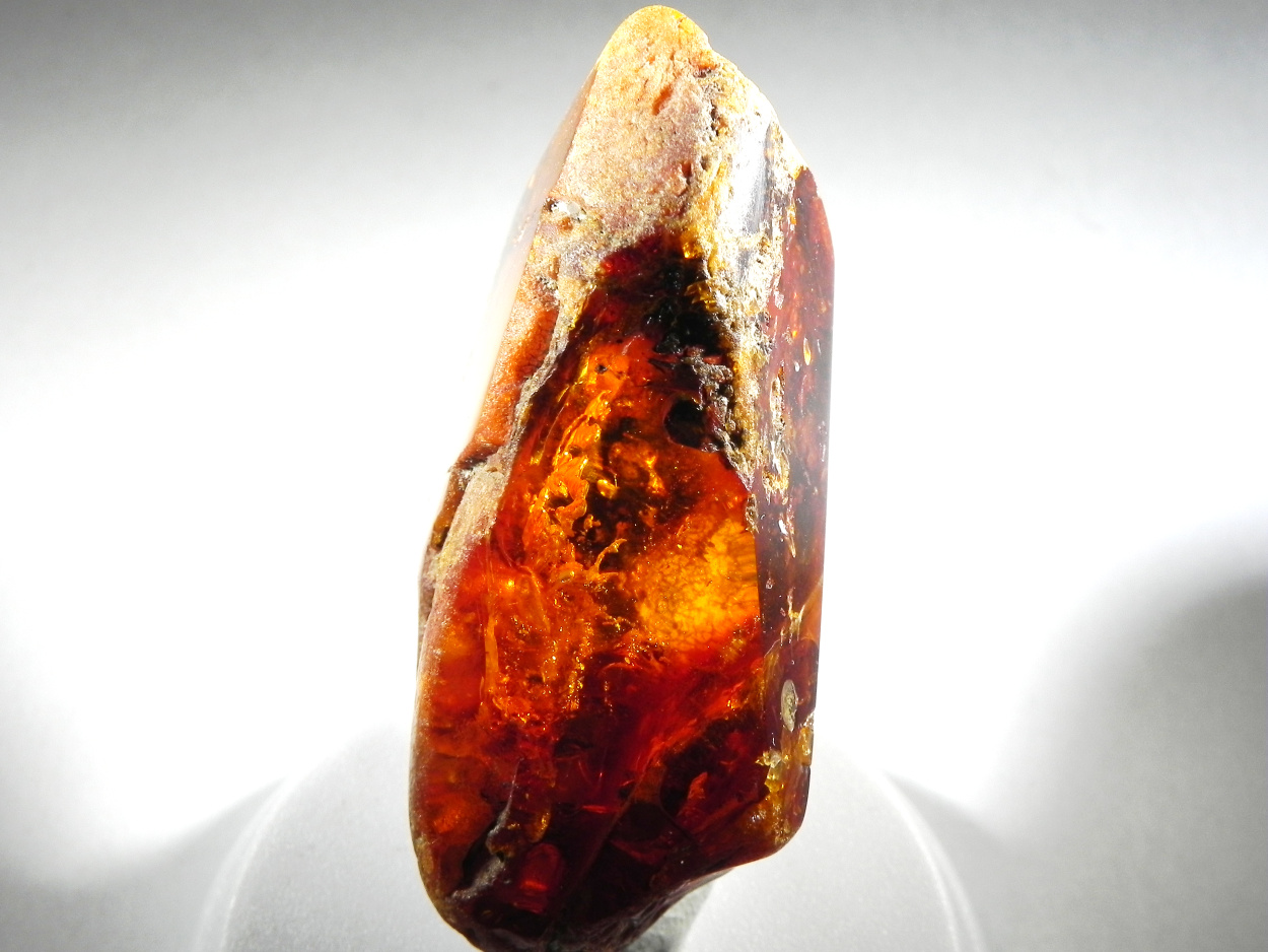 Amber With Inclusions