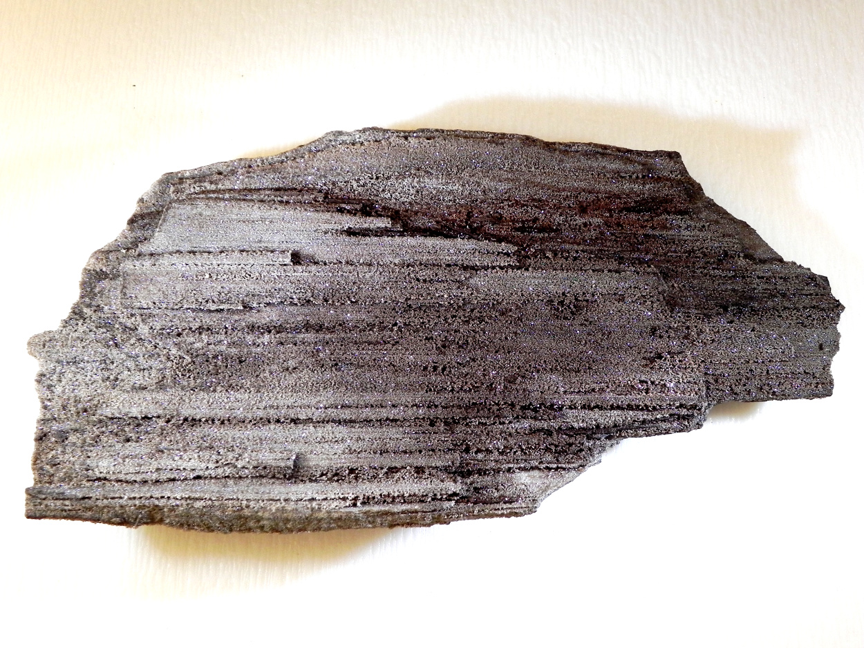 Petrified Wood With Quartz
