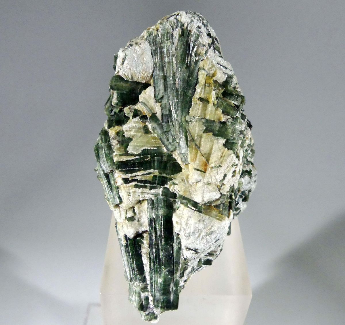 Actinolite
