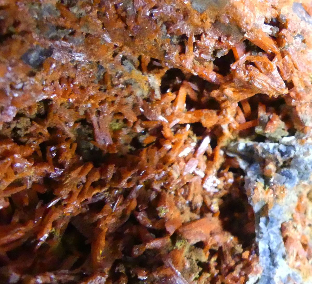 Crocoite & Bindheimite