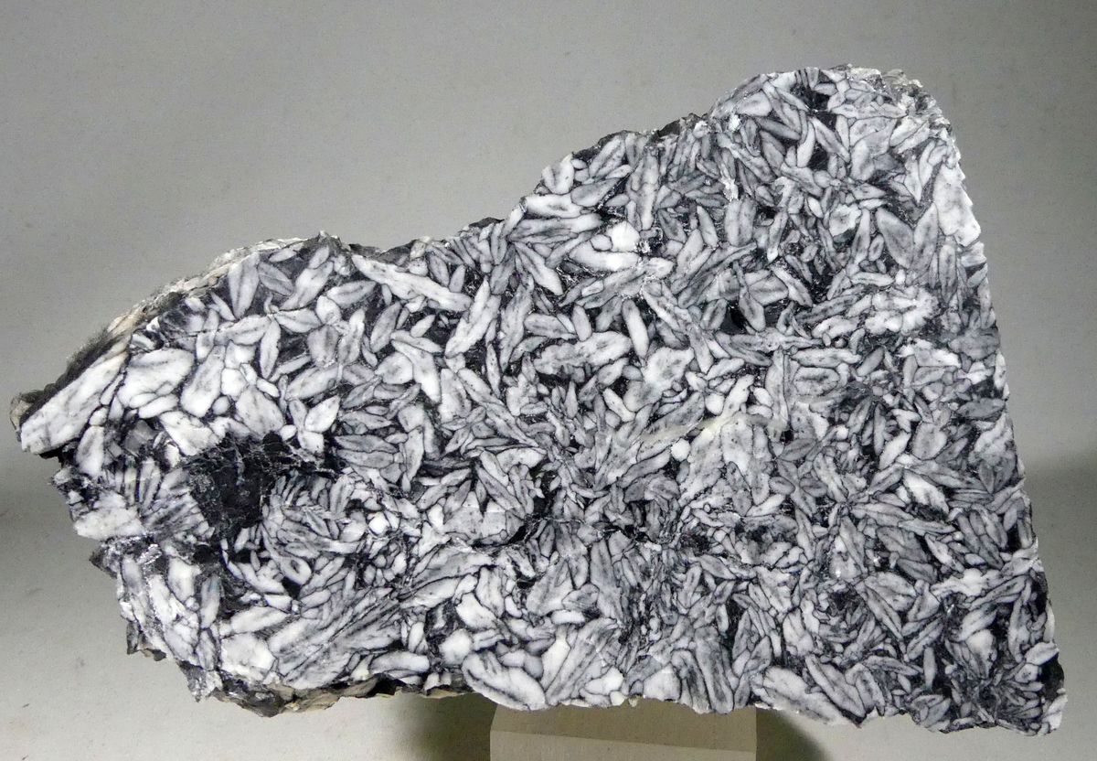 Pinolite