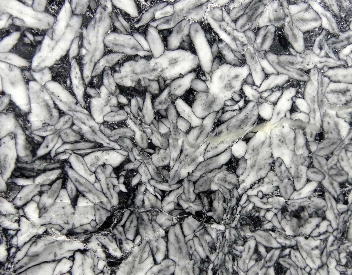 Pinolite
