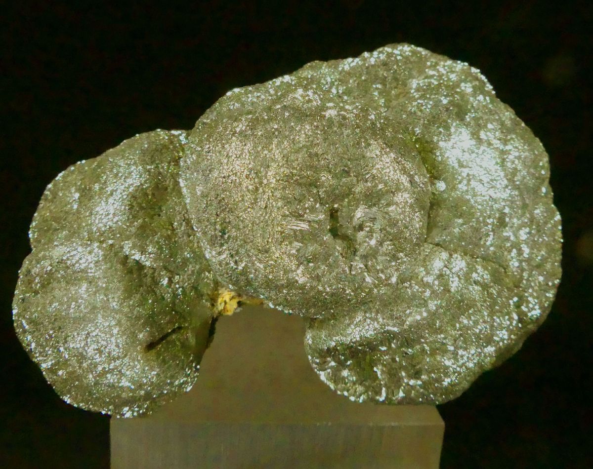 Marcasite On Pyritised Fossil Sea Urchin