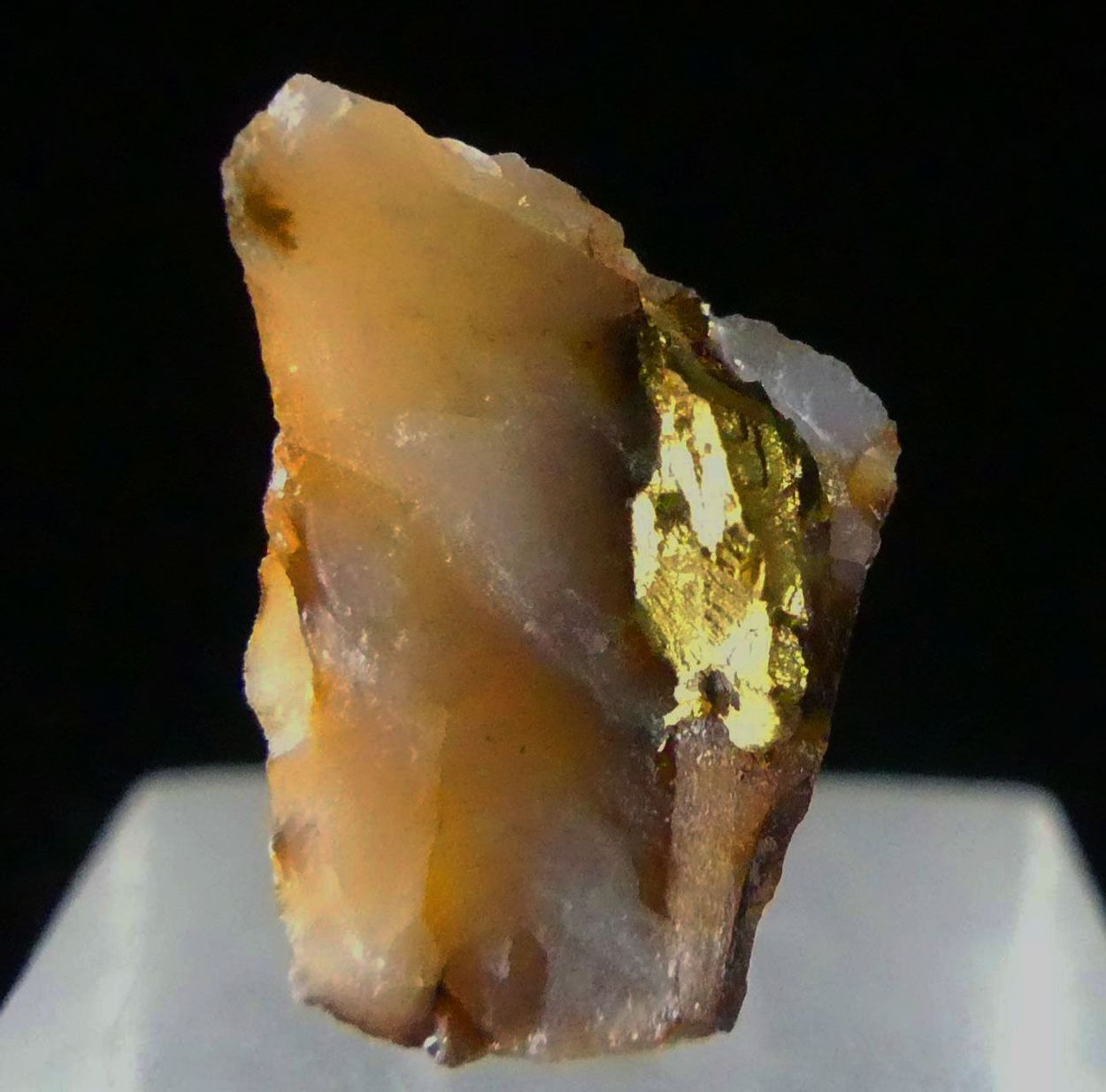 Native Gold On Quartz