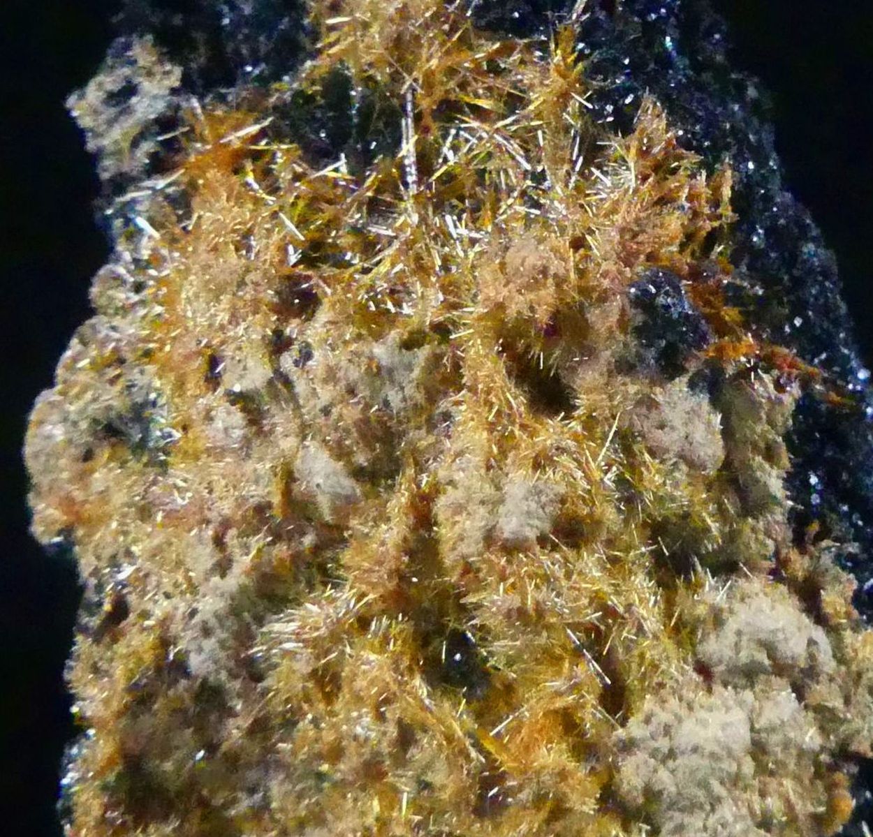 Rutile On Clinochlore