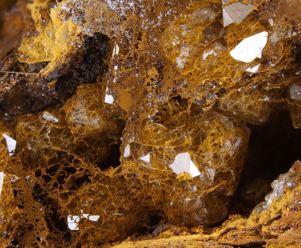 Eisenkiesel With Fossil Fungi Mycelium