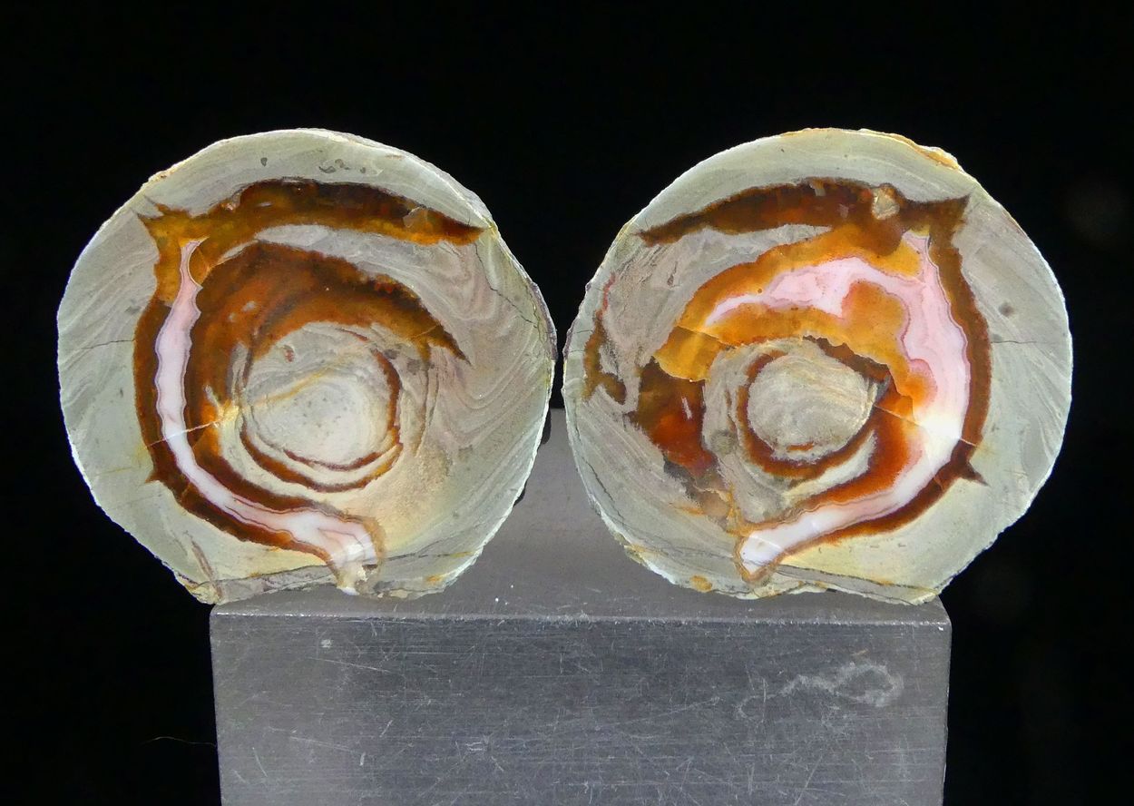 Agate With Carnelian