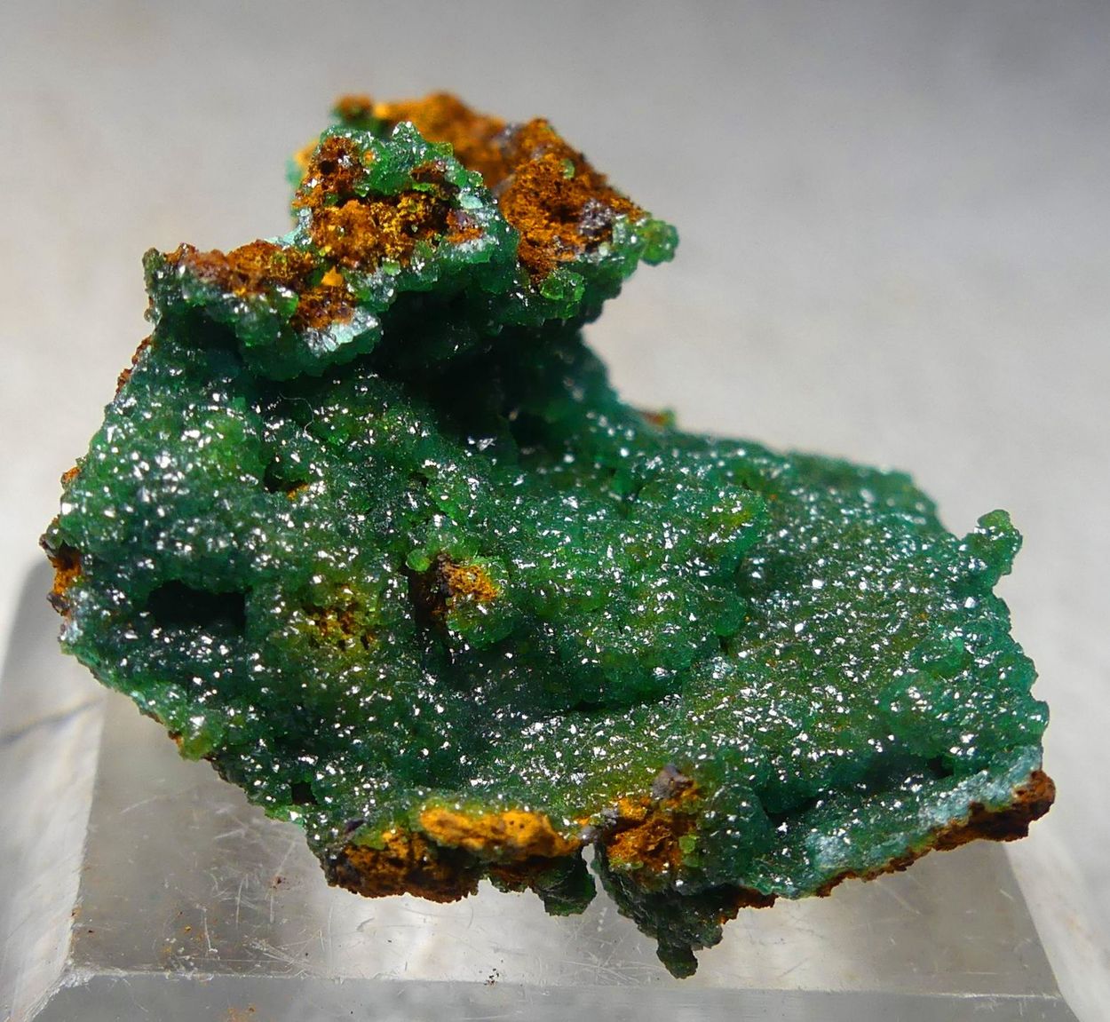Cuprian Adamite