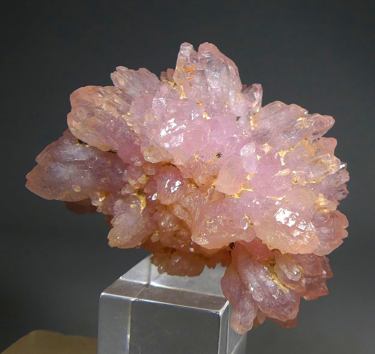Rose Quartz