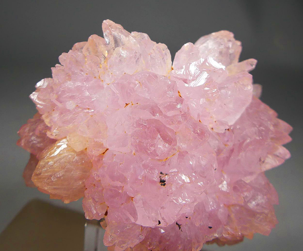 Rose Quartz