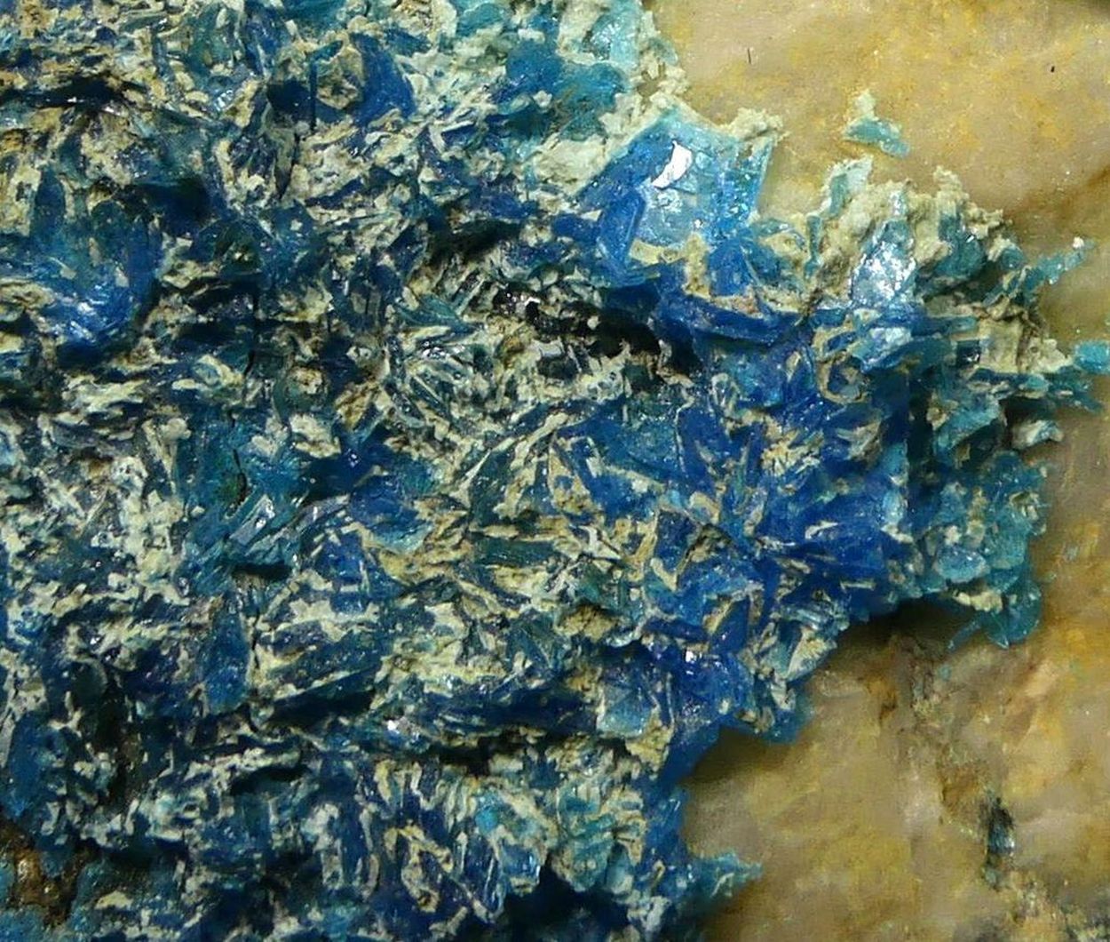 Chalcanthite On Quartz