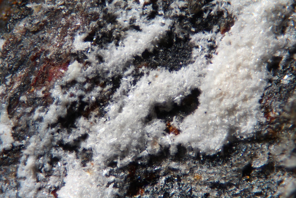 Uricite