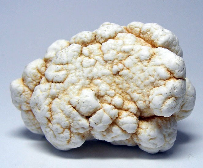 Magnesite
