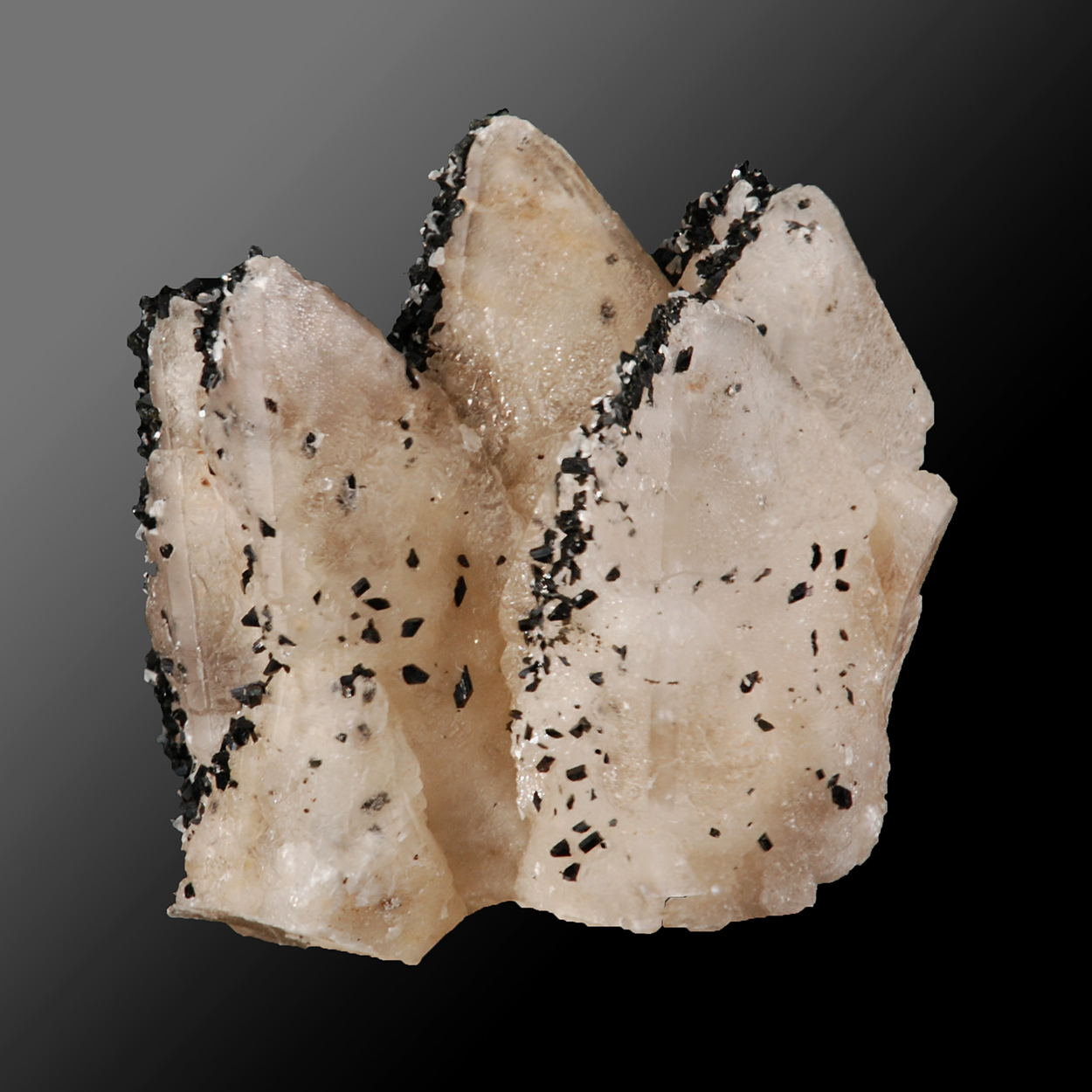 Babingtonite On Calcite