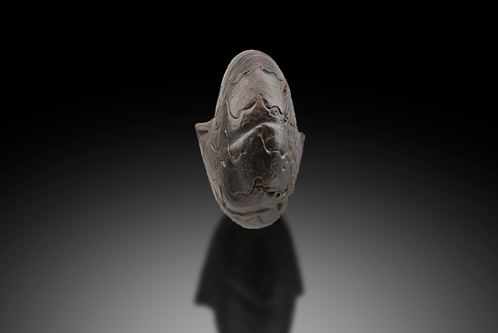 Goethite Psm Fossil