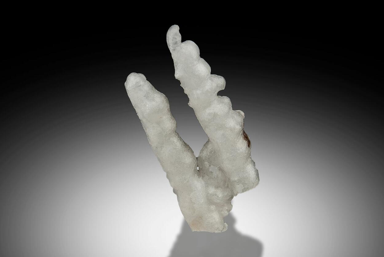 Opal Var Fiorite