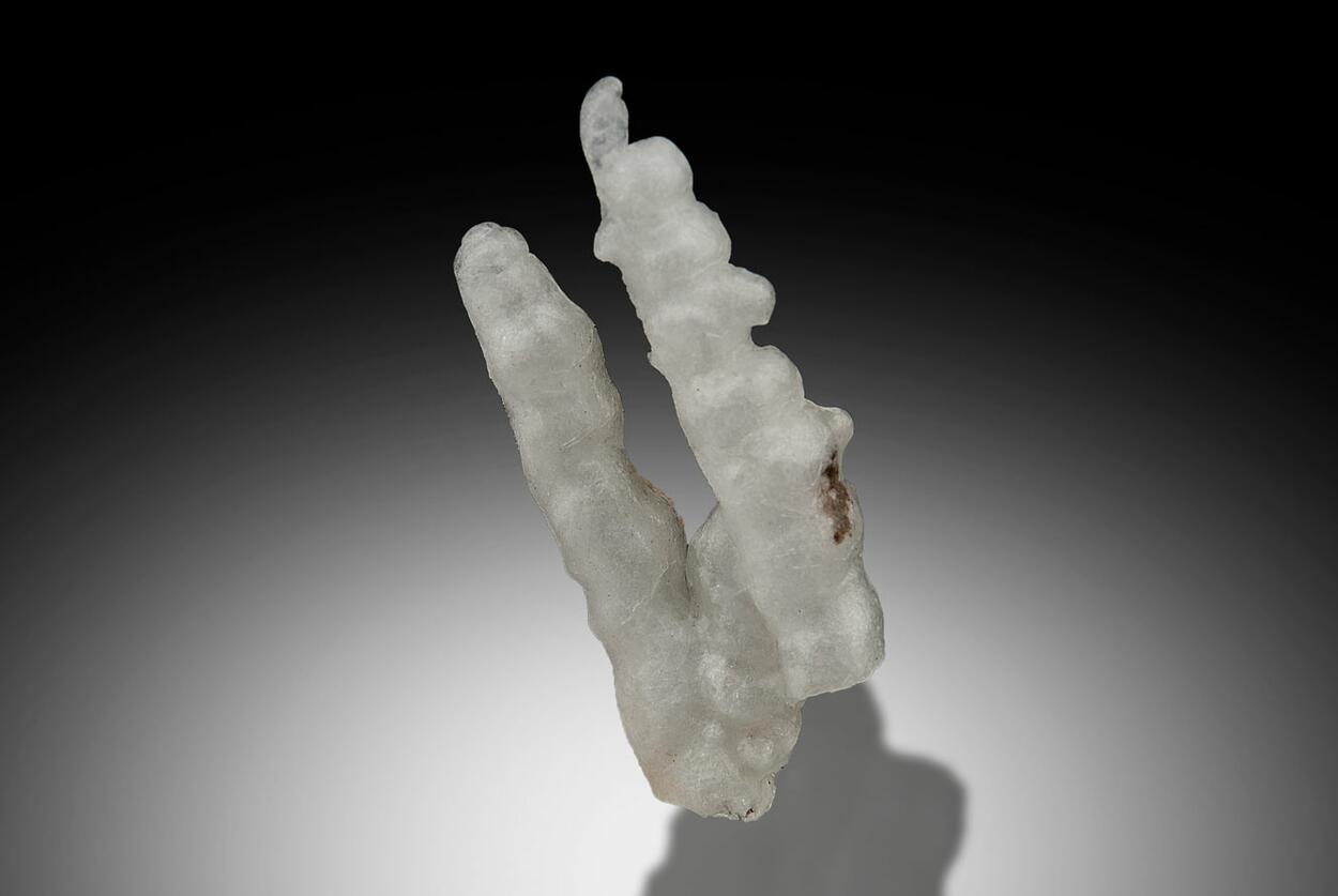 Opal Var Fiorite
