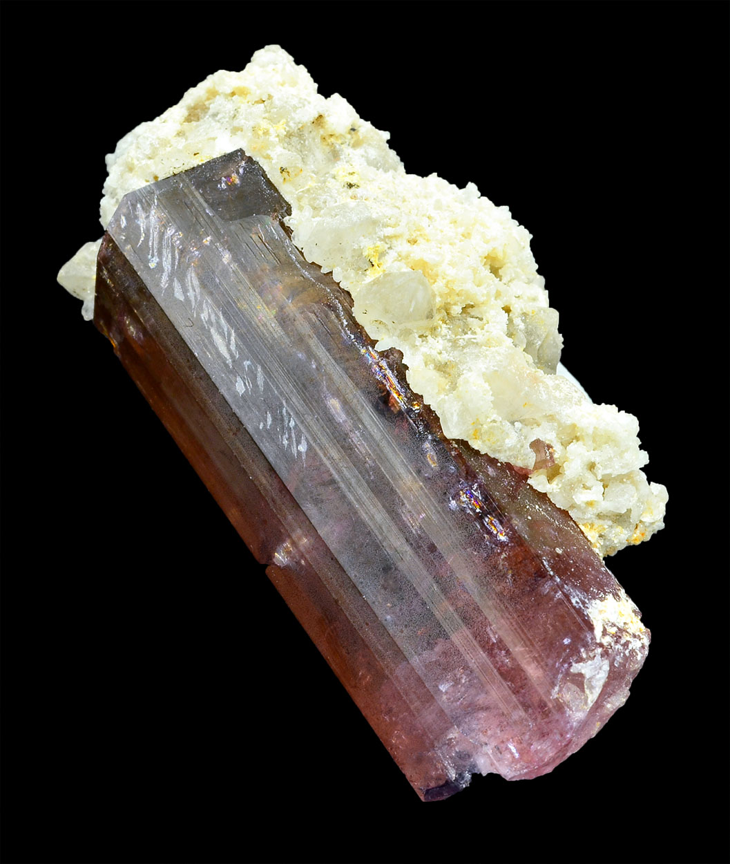 Liddicoatite